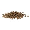 Croquettes chat adulte Purina Pro Plan Delicate Digestion agneau – 10 kg