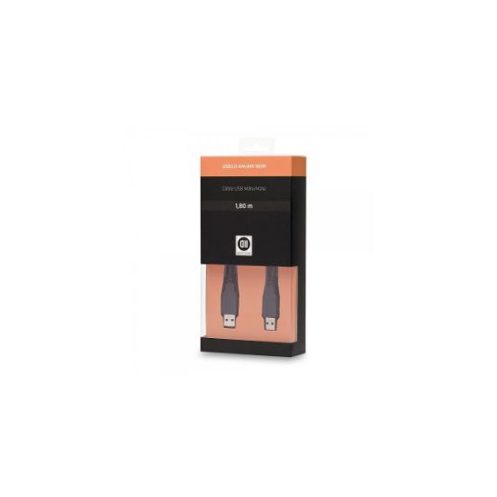 Câble USB 2.0 A mâle/mâle 1,8 m D2 Diffusion