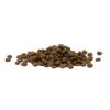 Croquettes chat adulte Purina Pro Plan Delicate Digestion agneau – 10 kg