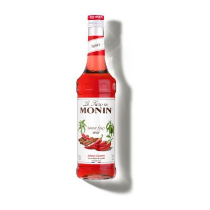 Image de Sirop Saveur Spicy - Monin - 70cl