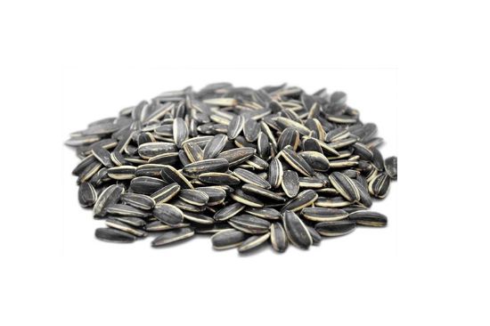 Image de Graine de Tournesol 5kg