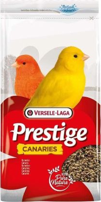 Picture of Prestige Graines Canaris