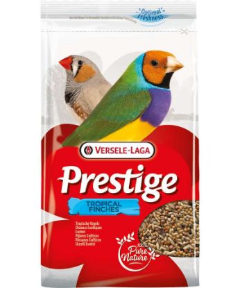 Image de Prestige Exotique 1kg