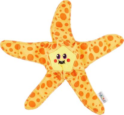 Image de Floatiez Starfish Org Md