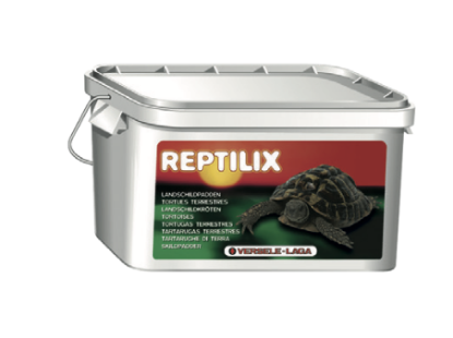 Image de Reptilix Tortue 4L