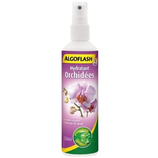 Image de Hydratant Orchidées 250 Ml