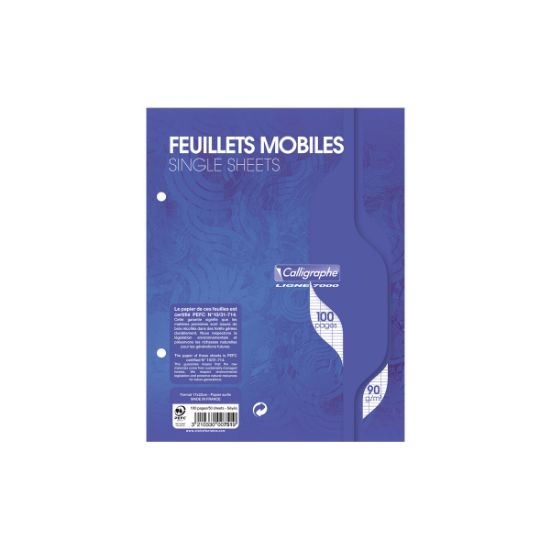 Picture of Feuillets mobiles - Perforés 2 trous - 17 x 22 - 90 g - Seyes- Blanc- Paquet de 100