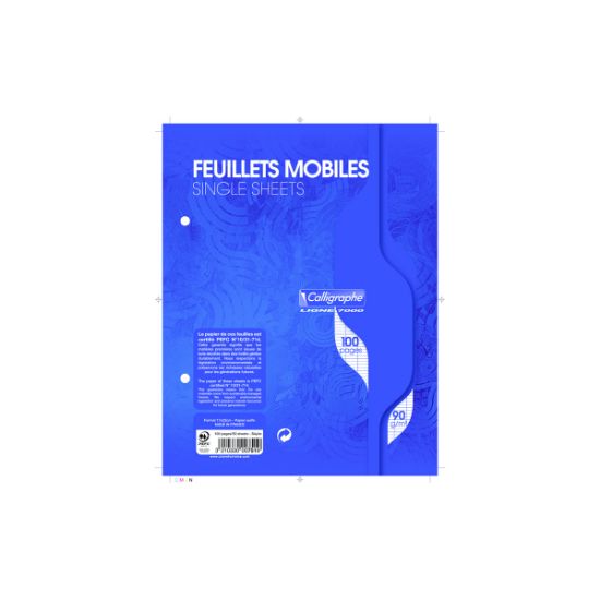 Picture of Feuillets mobiles - Perforés 2 trous - 17 x 22 - 80 g - Seyes- Bleu - Paquet de 100