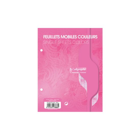 Image de Feuillets mobiles - Perforés 2 trous - 17 x 22 - 80 g - Seyes - Rose - Paquet de 100