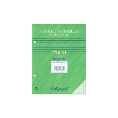 Picture of Feuillets mobiles - Perforés 2 trous - 17 x 22 - 80 g - Seyes - Vert - Paquet de 100