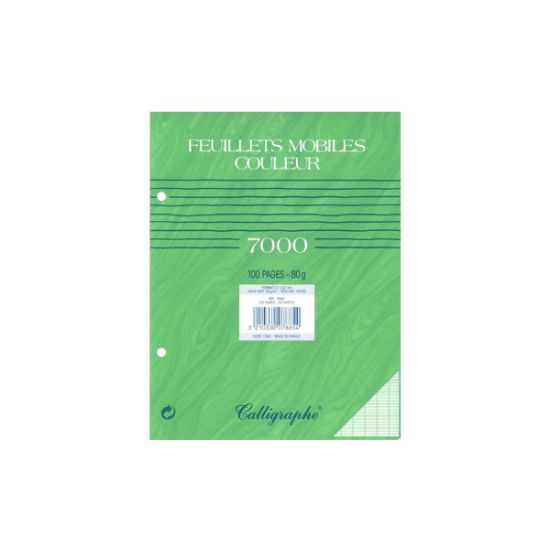 Picture of Feuillets mobiles - Perforés 2 trous - 17 x 22 - 80 g - Seyes - Vert - Paquet de 100