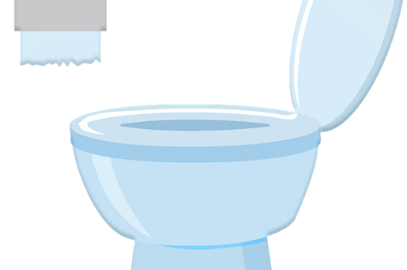 Image pour la catégorie Nettoyants WC