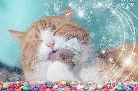 Picture for category Friandises pour chats
