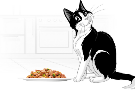 Picture for category Purina Felix Chat