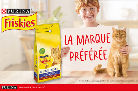 Picture for category Purina Friskies Chat