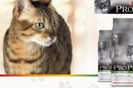 Image pour la catégorie Purina Pro Plan chat