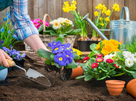 Les 5 étapes pour avoir un beau jardin cet été