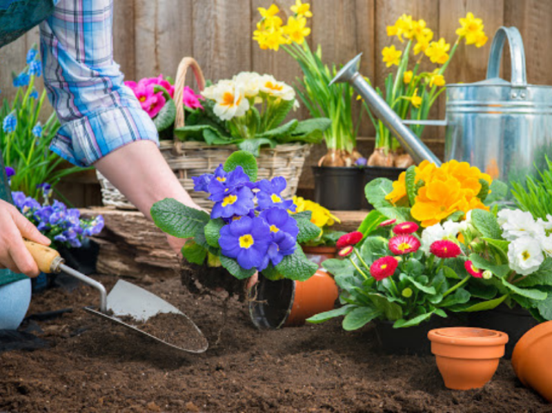 Image pour blog post Les 5 étapes pour avoir un beau jardin cet été