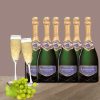 Champagne Demoiselle Brut Grande Cuvée EO 75 cl x6