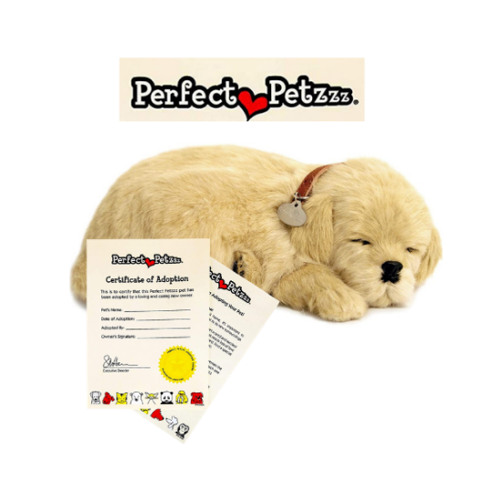 Chiot peluche Perfect Petzzz