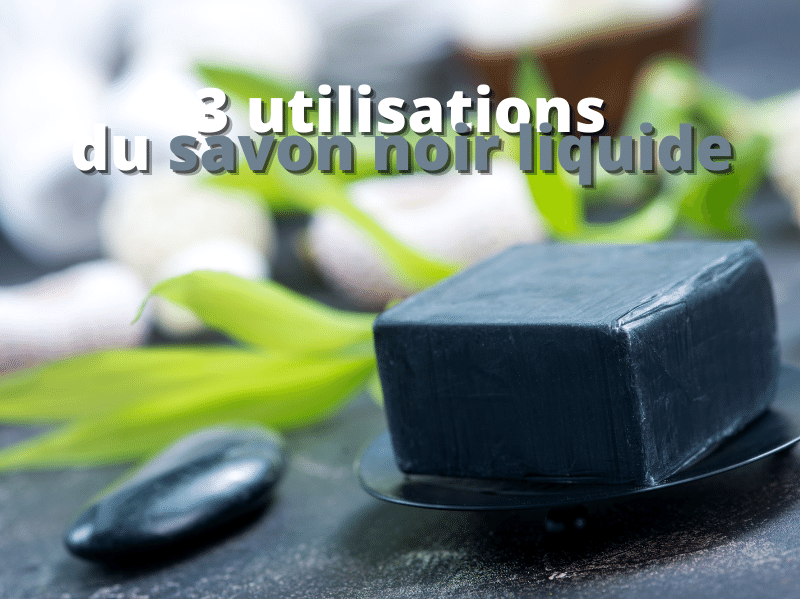 Image pour blog post Les 3 utilisations incontournables du savon noir