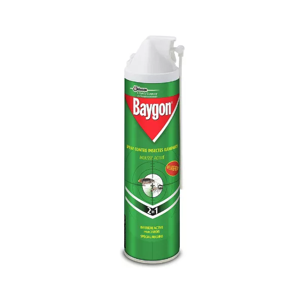 Baygon - Spray précision fourmis cafards - Supermarchés Match