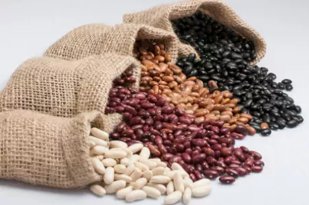 Image pour la catégorie Légumes, Grains secs