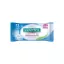 Sanytol Lingettes WC désinfectantes biodégradables  (72 lingettes)