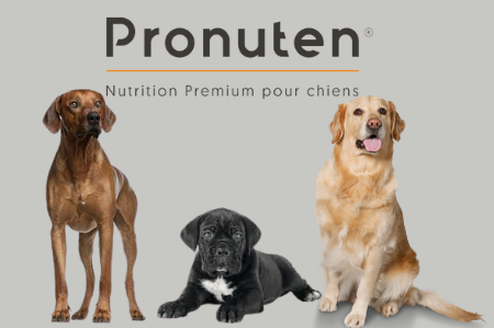 Picture for category PRONUTEN de PetFood Run : croquettes chiens