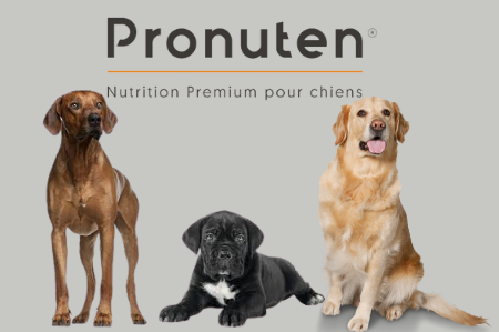 Image pour la catégorie PRONUTEN de PetFood Run : croquettes chiens