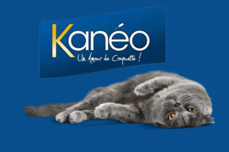 Picture for category KANEO de PetFood Run : croquettes chats