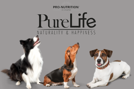 Image pour la catégorie PureLife de Pro-Nutrition Flatazor