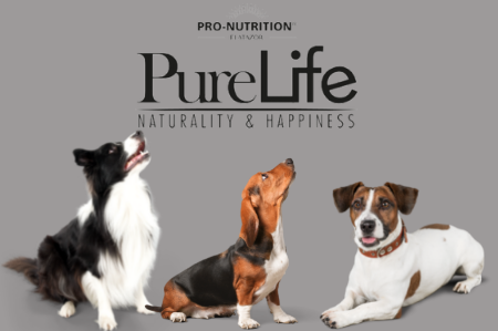 Picture for category PureLife de Pro-Nutrition Flatazor