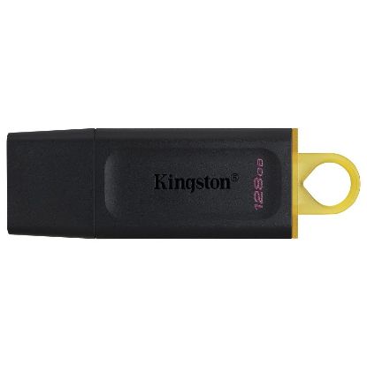 Clé USB Flash 128 Go - Kingston DataTraveler - USB Type-A - 3.2 Gen 1