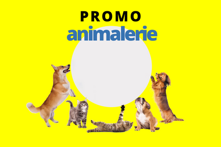 Picture for category Promo Animalerie