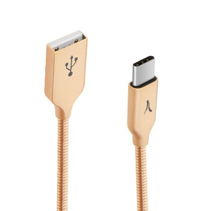 Picture of Câble USB TYPE-C métal incasssable Or 1m - Akashi
