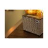 Enceinte bluetooth Klipsch Heritage Groove 2