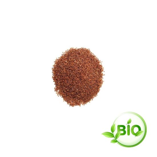 Image de Quinoa rouge Bio vrac 500g