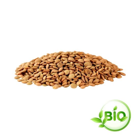 Image de Lentille marron Bio vrac 500g