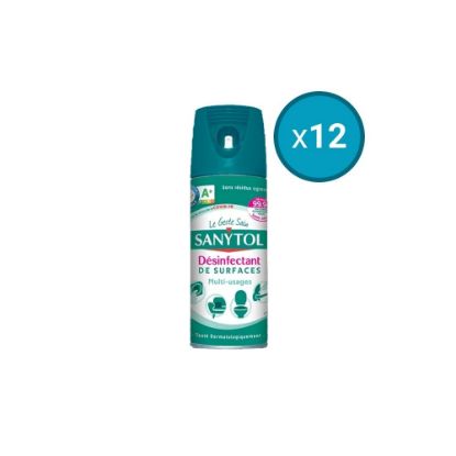Sanytol Spray Pamplemousse Désinfectant Multi-Usages 500ml