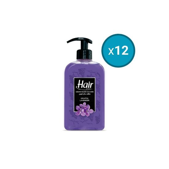 Image de 12x Distibuteur savon main Raisin et Lavande Hair, 500ml