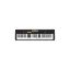 Picture of Clavier nomade CASIO Casiotone CT-S100 Noir