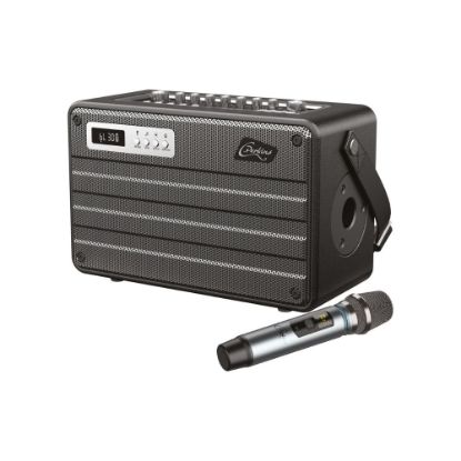 Picture of Combo portable tout-en-un avec micro UHF 100W - Lotronic ROADY FL