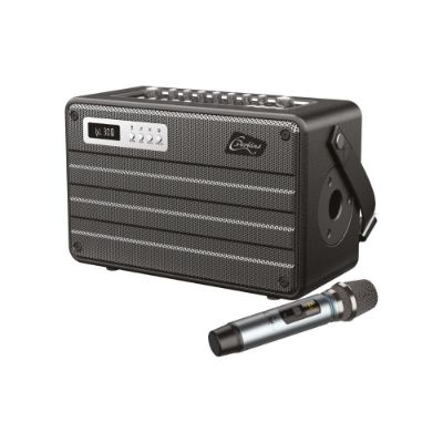 ROADY FL Combo portable tout-en-un avec micro UHF 100W - Lotronic