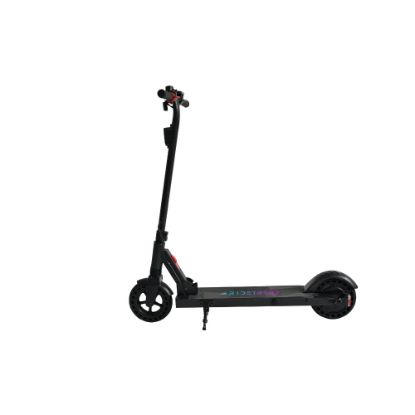 Trottinette électrique RIDE TREND 8" 300 Watts