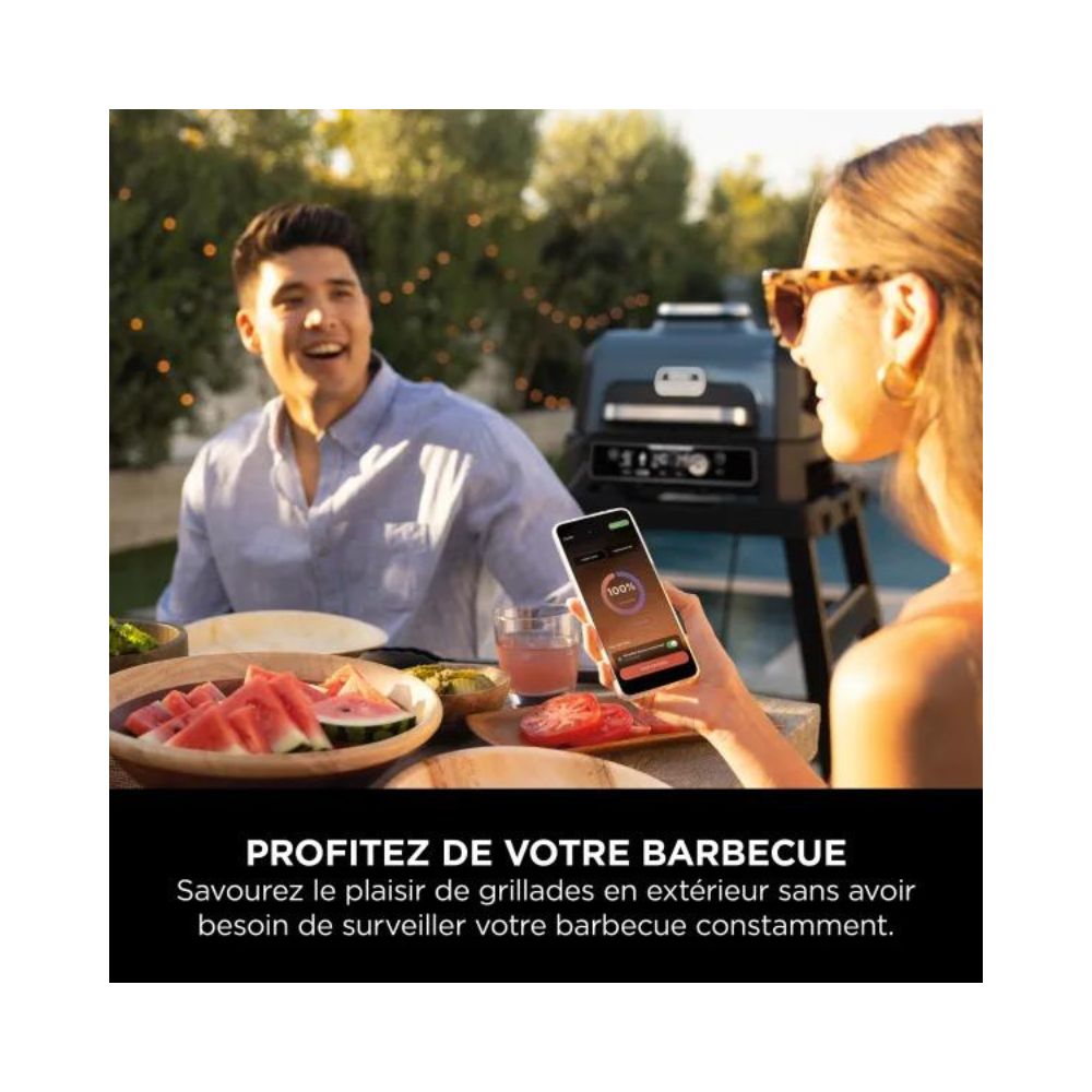 Thermosonde Supplémentaire Ninja Woodfire Pro Connect XL - Capteur Cuisson Précise Barbecue Connecté