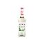 Show details for Sirop Saveur Mojito Mint - Monin - 70cl Picture of Sirop Saveur Mojito Mint - Monin - 70cl