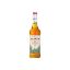 Image de Sirop d'Agave - Monin - 70cl