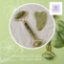 Picture of Pack visage jade – Gua Sha & Rouleau de Massage Visage