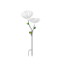 Lampes solaires décoratives à planter EZSolar GL1010EZ – Pissenlit RGB – Lot de 2 – IP44
